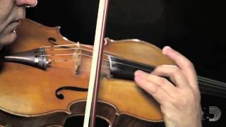 Kaplan Forza 16"-17" Viola D String, Medium