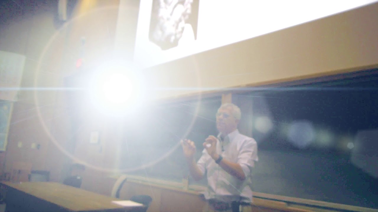 Socrates on Virtue in the Laches