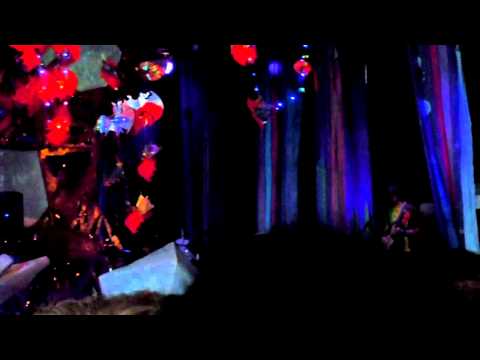Animal Collective - We Tigers - Pitchfork 2011
