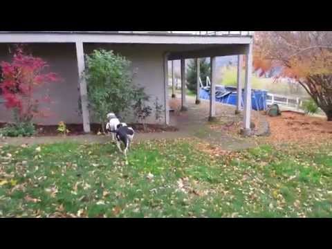 Adora and Cozette November 29, 2014