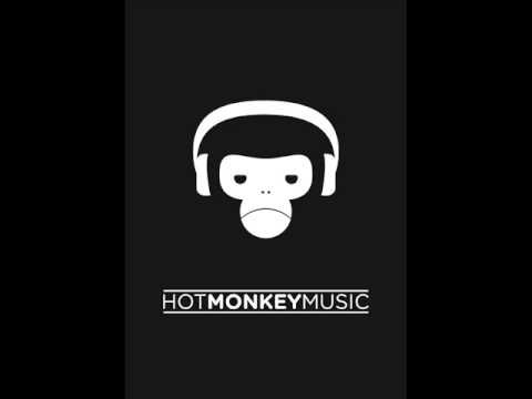 Dj Hot Monkey - HMM Summer 2013 mini electro set