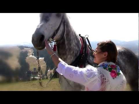 Pod jaworem, pod zielonym - Roman Rzadkosz