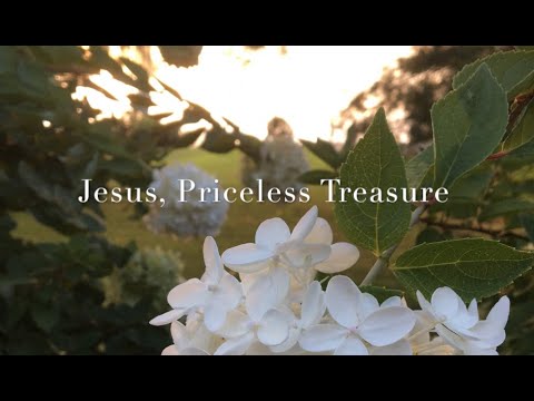 Jesus, Priceless Treasure (Official Lyric Video, Renee Allsbrook Music)
