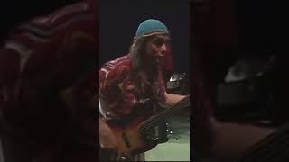 Chicken by  the unforgettable Jaco Pastorius #comment #bass #jacopastorius #chicken