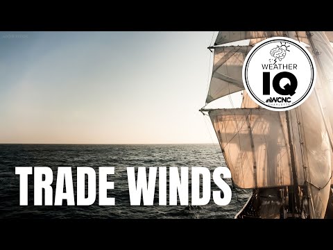 Weather IQ: Trade winds