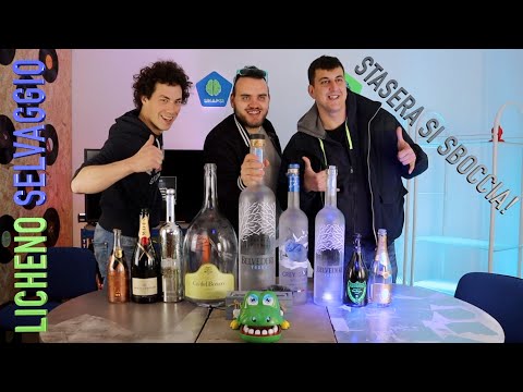 🍾 lo SBOCCIATORE di Adrara colleziona BOTTIGLIE 🍾 Gianmarco Ep.8 Licheno SELVAGGIO #CaDelBosco9LT