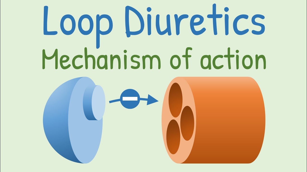 Loop diuretics Mechanism of action - YouTube