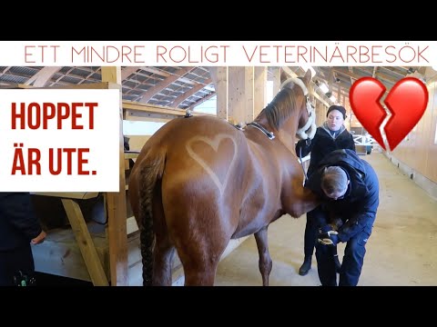 HAR KEDIR EN FRAMTID?