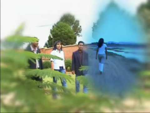 Ny Ainga - Malalako tsy foiko