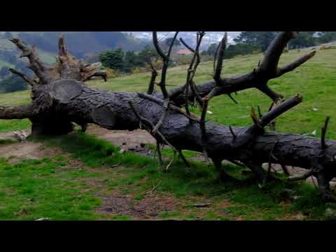 drone-freestyle-puda-chameleon-edr-fpv-runcam-runcam3s-matekf405-racerstar