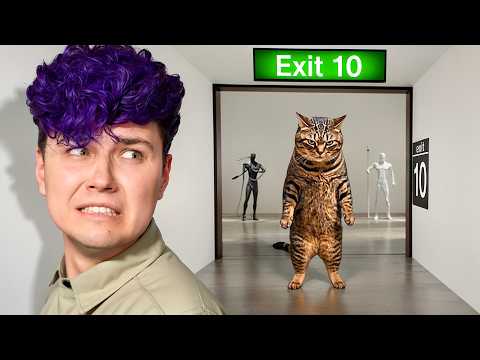 Уходи ЖИРНЫЙ КОТ! 💀 Найди выход в Галерее