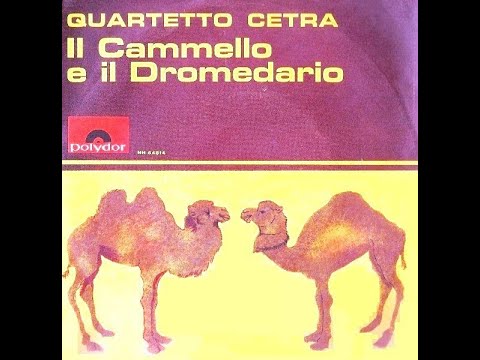 Il Cammello E Il Dromedario - Quartetto Cetra