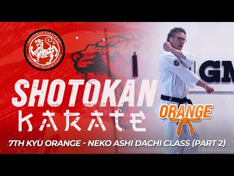 Shotokan Karate - 7th Kyu - Orange Belt - Neko Aski Dachi Class (Part 2) thumbnail