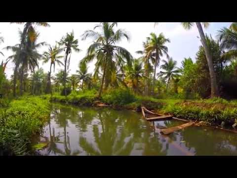 Lotus Garden, Kerala Backwaters