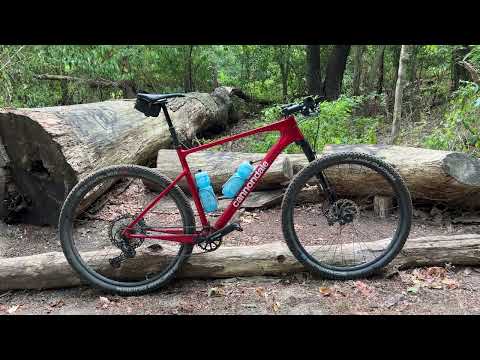 10 Blade Surgical Scalpel