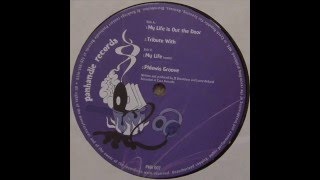 Undercover Agency  -  My Life (remix)