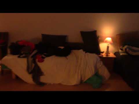 MongoTV_1496 - God Mandag og Ny Uge - LØNNINGSDAG NÆSTE UGE 28. September 2018