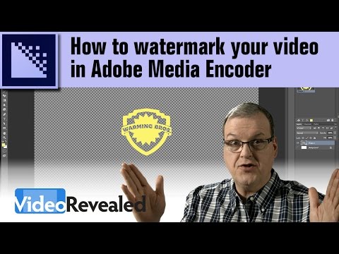 Organizing your media in Adobe Premiere Pro