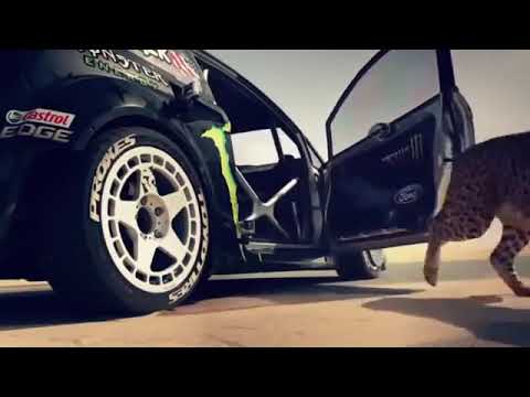 yaleli yelila full song