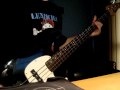 Era Techno ( bass cover ) 