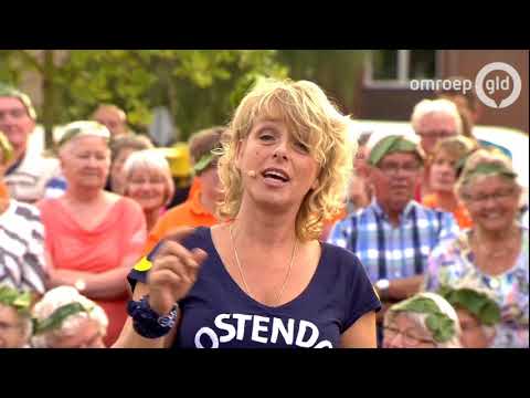 Zomer in Gelderland 21 augustus 2017 - Oostendorp