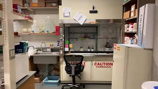 MolBio Room