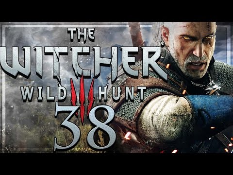 The Witcher 3 Wild Hunt Walkthrough Part 38
