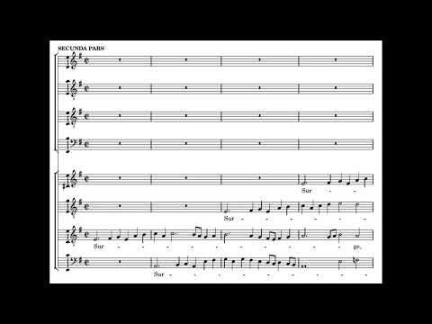 Hieronymus Praetorius: Surge propera amica mea - Heras-Casado