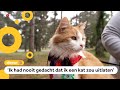 Kat Mimi mag alleen nog maar aan de lijn naar buiten