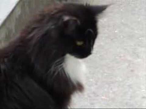 Big Girl you are beautifull