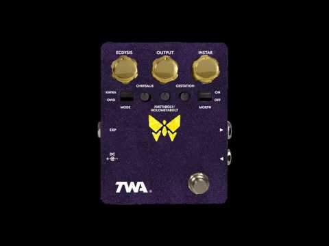 TWA DYNAMORPH V2 Distortion Fuzz Filter Synth Effects Pedal image 3