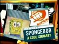 Nicktoons Network 2008 Spongebob Is Back