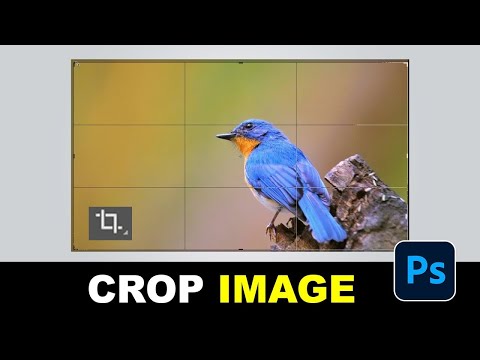 Image Editing Tips in Photoshop Perspective Auto Color Camera Raw Filter