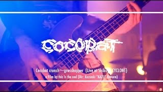COCOBAT/ cocobat crunch〜grasshopper (2013.12.29 SHIBUYA CYCLONE)