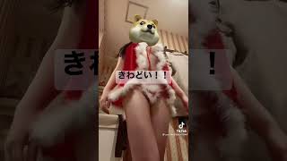 おっぱいでか！！#巨乳  #エロい　#おっぱい　#シコい