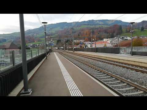 Durchfahrt eines ETR 610 in Steinen