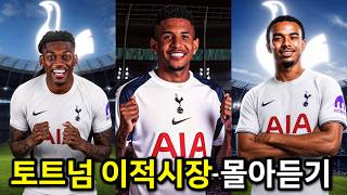 토트넘 여름 이적시장 중간점검 몰아듣기 │ 이제는 공격수 영입!!! 레앙, 사비뉴, 크루피...?!