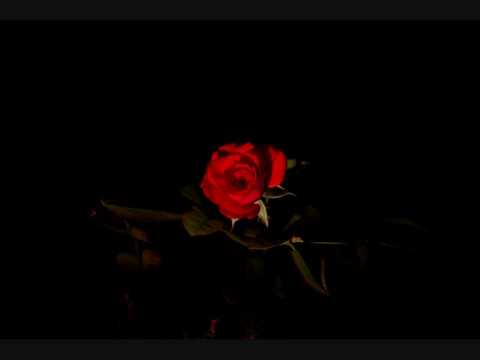 Andy Guess - Always With Me (Se.Ra.Phic Remix)