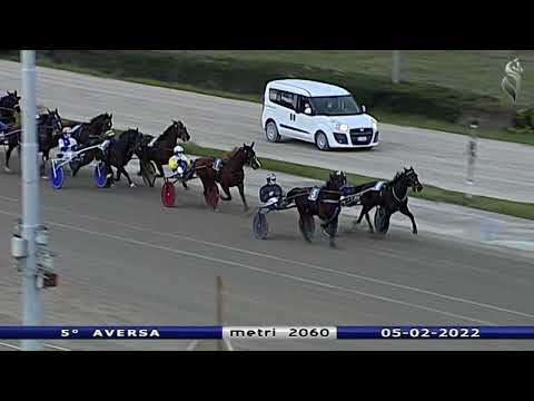 Aversa trotto 5 Febbraio 2022 - 5° Corsa GP Andreani