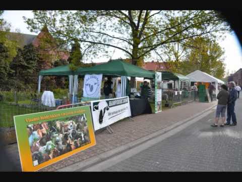 Plantenbeurs Hombeek 2010.wmv