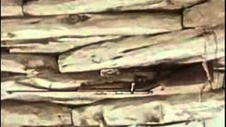 Ry Cooder   Cancion Mixteca