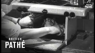 Happiness At Home (1953)