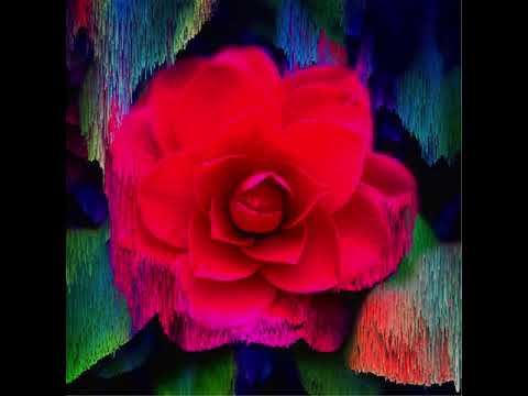 Mozart: Le nozze di Figaro, K.492 / Act 4 - "Gente, gente, all'armi"