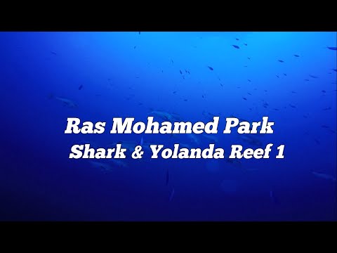 Parc RAS MOHAMMED shark & yolanda reef - scuba diving -   SpiritDiver HD