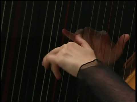 Maria Bildea plays Rossignol by Franz Liszt