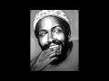 Marvin Gaye - Happy Go Lucky**