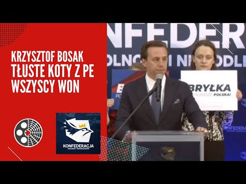 Krzysztof Bosak: 'Tłuste koty' z PE wszyscy won