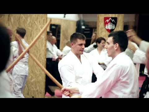 Aikido seminar: Stéphane Goffin (6. dan aikikai) in Budapest