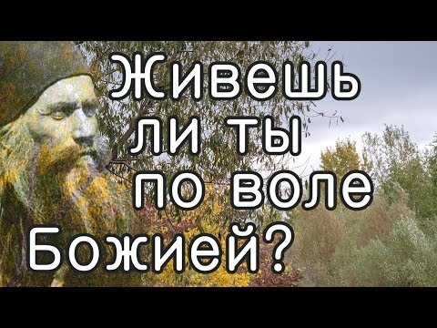 Как узнать, живешь ли ты по воле Божией? - Силуан Афонский