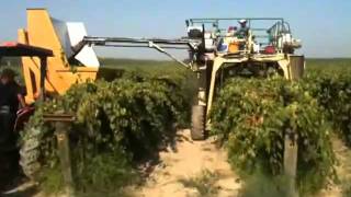 preview picture of video 'AGH Spectrum Grape Harvester'